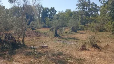 Rustic farm in Villanueva de La Vera photo 25