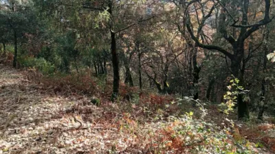 Rustic Finca in Villanueva de La Vera photo 23