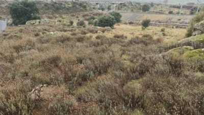 Rustic finca in Zarzalejo photo 21