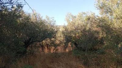 Rustic farm in Villanueva de La Vera photo 5
