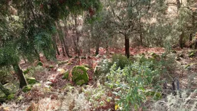 Rustic Finca in Villanueva de La Vera photo 12