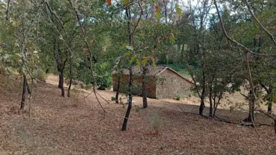 Rustic Finca in Villanueva de La Vera photo 25