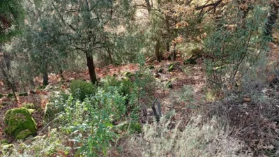 Rustic Finca in Villanueva de La Vera photo 13