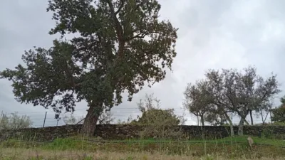 Rustic Finca in Villanueva de La Vera photo 58