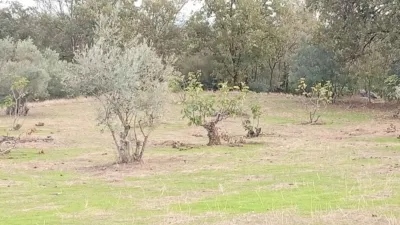 Rustic finca in Villanueva de La Vera photo 11