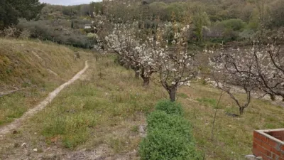 Rustic Finca in Villanueva de La Vera photo 48