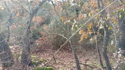 Rustic Finca in Viandar de La Vera photo 17