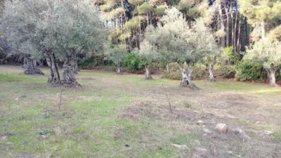 Rustic Finca in Villanueva de La Vera photo 19