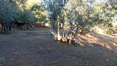 Rustic Finca in Villanueva de La Vera photo 60