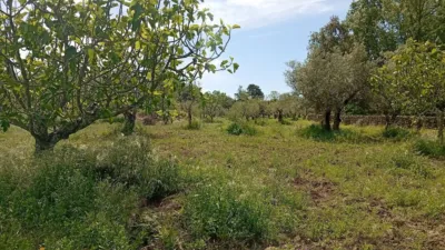 Rustic finca in Villanueva de La Vera photo 31