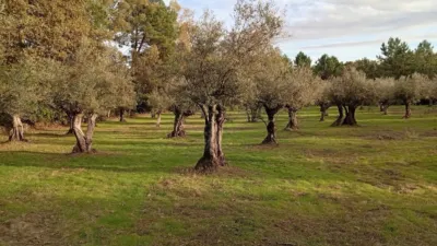 Rustic Finca in Villanueva de La Vera photo 11