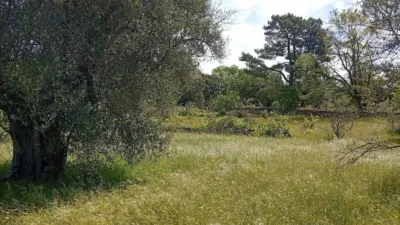 Rustic finca in Villanueva de La Vera photo 64