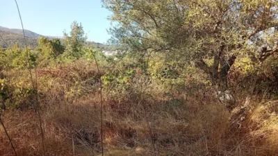 Rustic farm in Villanueva de La Vera photo 4
