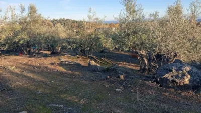 Rustic Finca in Villanueva de La Vera photo 26