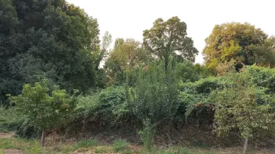 Rustic finca in Madrigal de La Vera photo 5