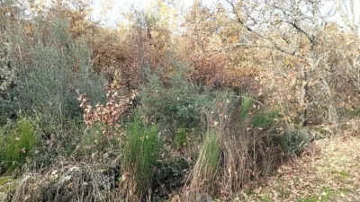 Rustic Finca in Viandar de La Vera photo 11