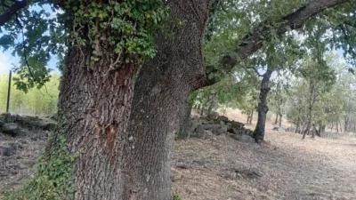 Rustic Finca in Villanueva de La Vera photo 125