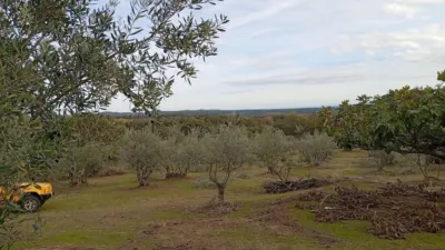 Rustic finca in Villanueva de La Vera photo 54