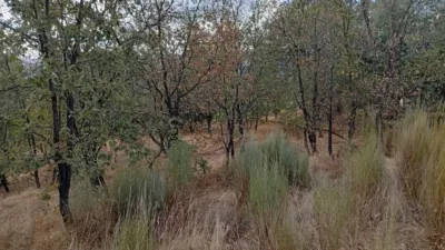 Rustic Finca in Villanueva de La Vera photo 46