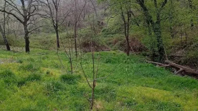 Rustic Finca in Valverde de La Vera photo 104