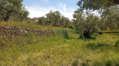 Rustic Finca in Villanueva de La Vera photo 77
