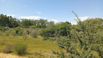 Rustic finca in Villanueva de La Vera photo 113