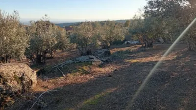 Rustic Finca in Villanueva de La Vera photo 66