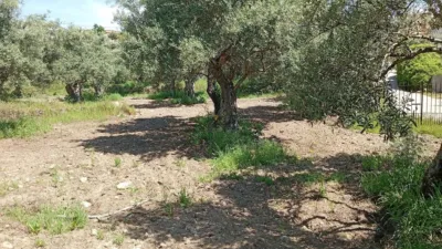 Rustic Finca in Villanueva de La Vera photo 47