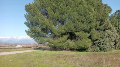 Rustic farm in Villanueva de La Vera photo 26