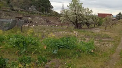 Rustic Finca in Villanueva de La Vera photo 40