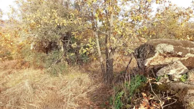 Rustic farm in Viandar de La Vera photo 46