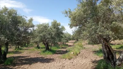 Rustic Finca in Villanueva de La Vera photo 53