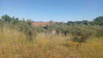 Chalet in Villanueva de La Vera photo 67
