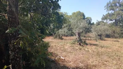 Rustic farm in Villanueva de La Vera photo 35