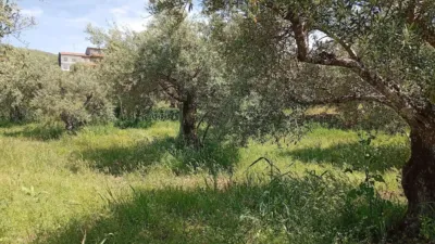 Rustic Finca in Villanueva de La Vera photo 71