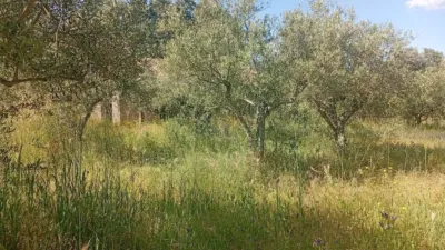 Chalet in Villanueva de La Vera photo 49