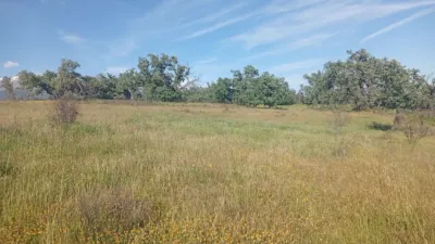Rustic finca in Villanueva de La Vera photo 2