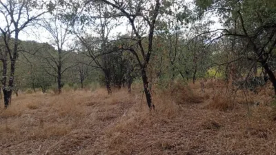 Rustic Finca in Villanueva de La Vera photo 31
