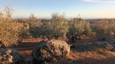 Rustic Finca in Villanueva de La Vera photo 65