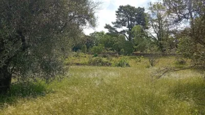 Rustic finca in Villanueva de La Vera photo 63