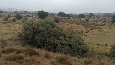 Rustic finca in Zarzalejo photo 28