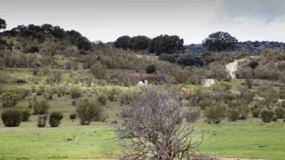 Finca rústica en Quijorna photo 7