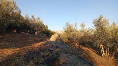 Rustic Finca in Villanueva de La Vera photo 54