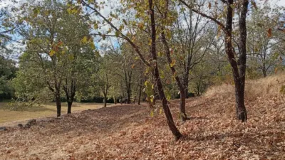 Rustic Finca in Villanueva de La Vera photo 22
