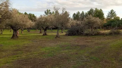 Rustic Finca in Villanueva de La Vera photo 23