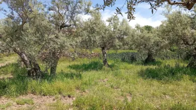 Rustic Finca in Villanueva de La Vera photo 73