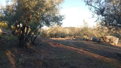 Rustic Finca in Villanueva de La Vera photo 62