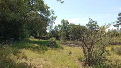 Rustic finca in Villanueva de La Vera photo 104