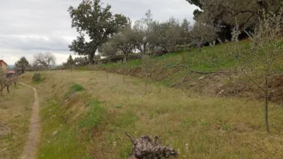 Rustic Finca in Villanueva de La Vera photo 26