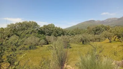 Rustic finca in Villanueva de La Vera photo 112